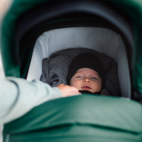 Thule Sleek bassinet - 1381153.png