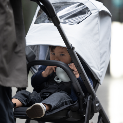 Thule Shine air purifier canopy - 1409858.png