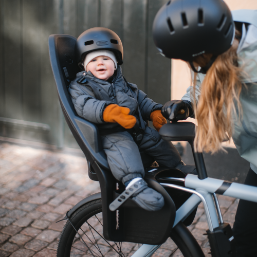 Thule Yepp 2 maxi - 1381258.png