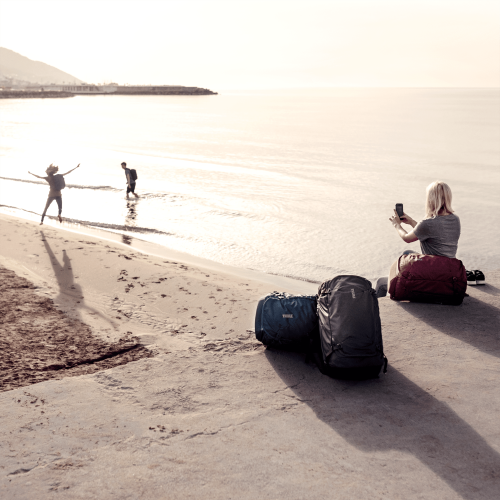 Thule Landmark 60L - 1383702.png