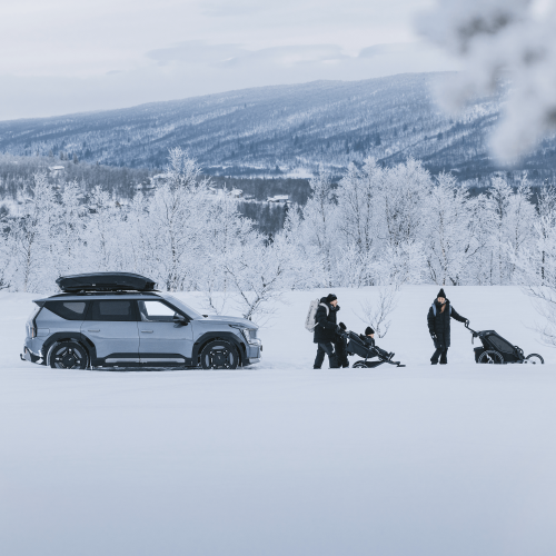 Thule Motion 3 XXL Low - 1485981.png