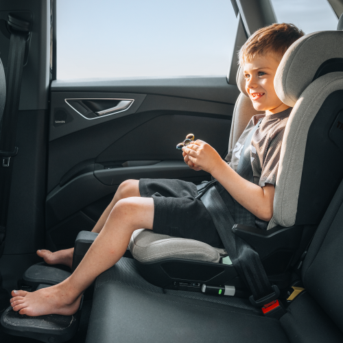 Thule Palm footrest - 1541917.png