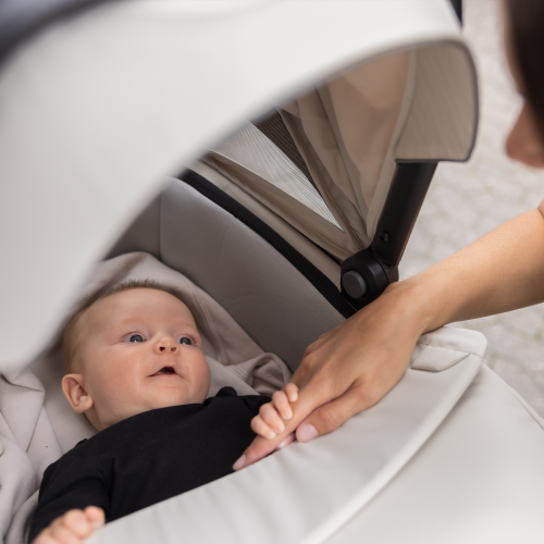 Thule bassinet - 1450000.png