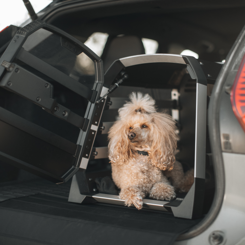 Thule Allax XXL Compact - 1414436.png