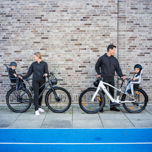 Thule Ridealong 2 - 1471873.png