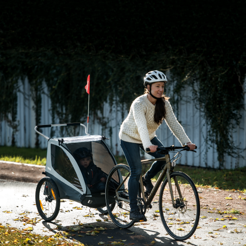 Thule Coaster Xt - 1613109.png?rev=1.4
