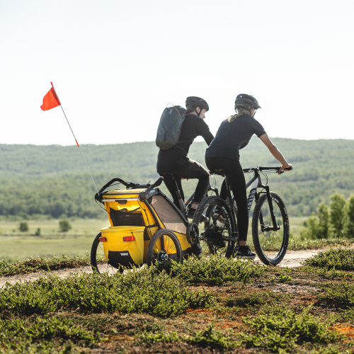 Thule Chariot Sport Single - 1381126.png