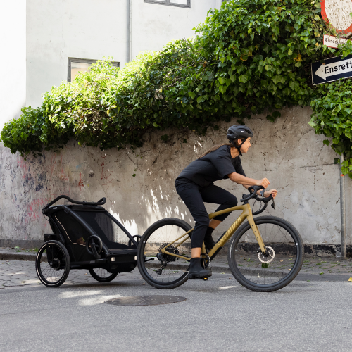 Thule Chariot Sport 2 Double - 1614094.png