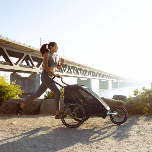 Thule Chariot Sport 2 Double - 1465335.png
