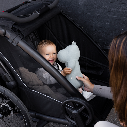 Thule Chariot Sport 2 Double - 1465569.png