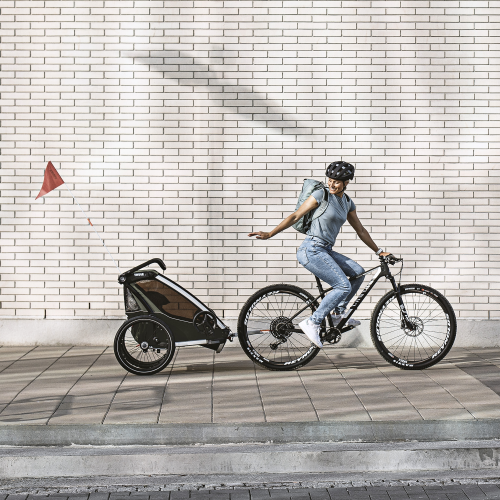 Thule Chariot Lite - 1633403.png?rev=1.8