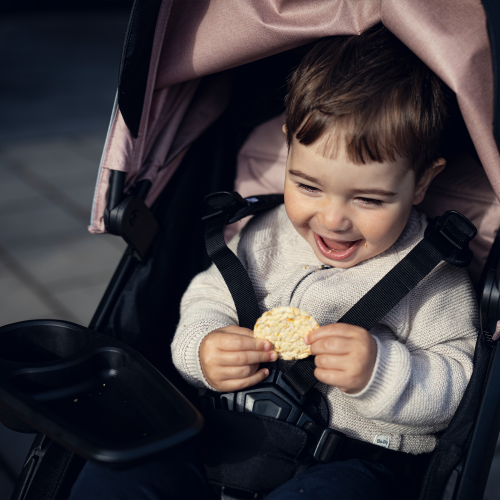 Thule Spring Snack Tray - 1381178.png