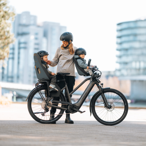 Thule Yepp Nexxt 2 Maxi - 1619130.png
