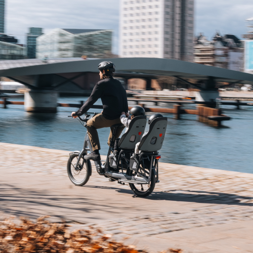 Thule Yepp Nexxt 2 Maxi - 1619129.png