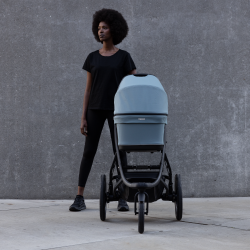 Thule Bassinet - 1450003.png