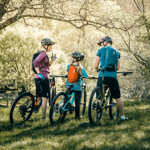 Thule Uptake 8L - 1387155.png
