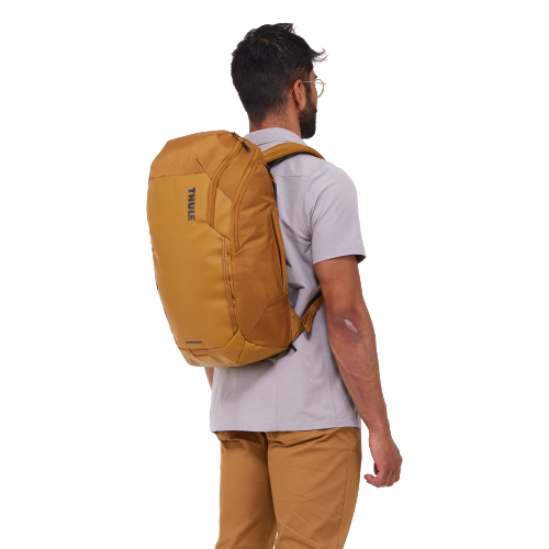 Thule Chasm Backpack 26L - 1426381.png