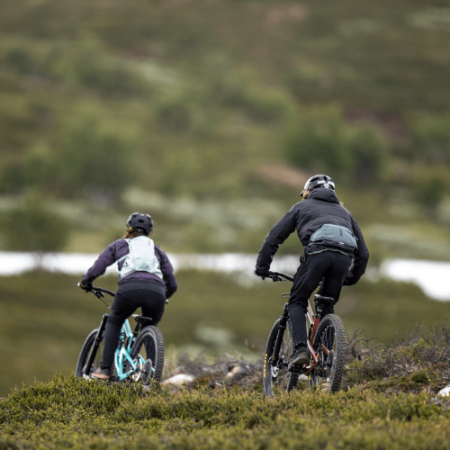 Thule Rail Hip Pack 2L - 1384155.png
