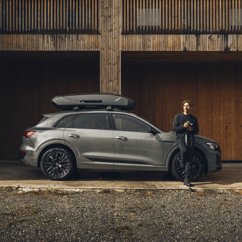 Thule Motion 3 L Low - 1466605.png