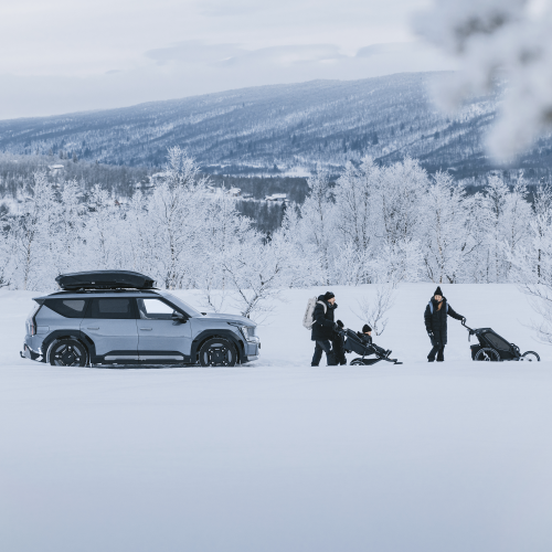 Thule Motion 3 L Low - 1485981.png