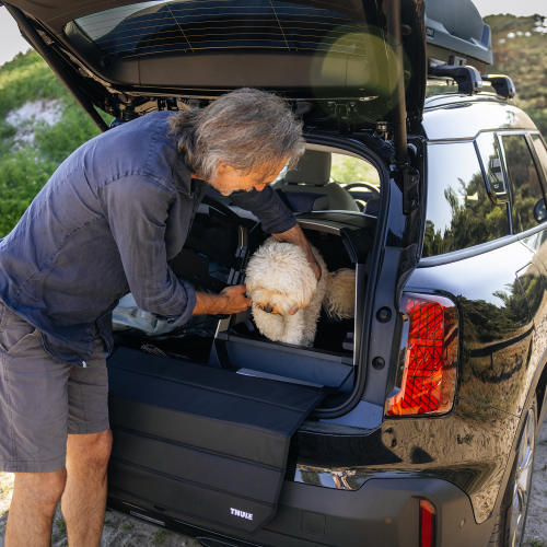 Thule Allax Threshold Compatible L Compact - 1538627.png
