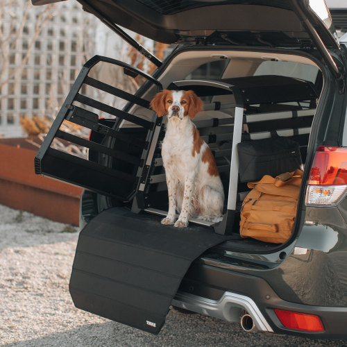 Thule Dog Crate Leash Hook - 1445246.png