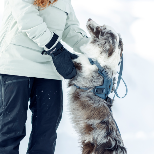 Thule Dart Harness - 1768272.png