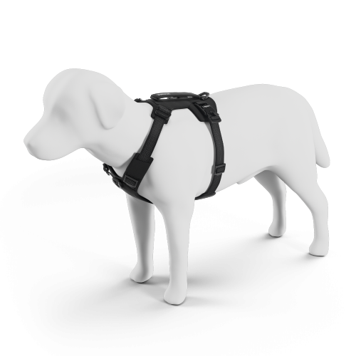 Thule Dart Harness - 1748867.png