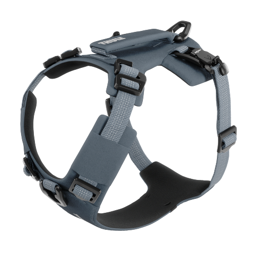 Thule Dart Harness - 1748853.png