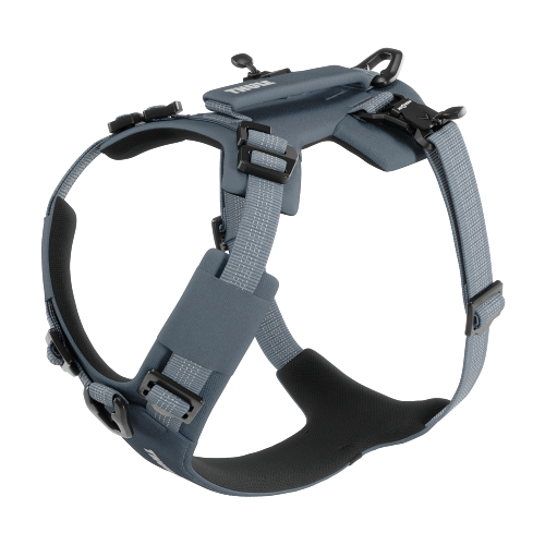 Thule Dart Harness - 1748856.png