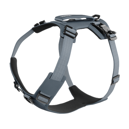 Thule Dart Harness - 1748861.png