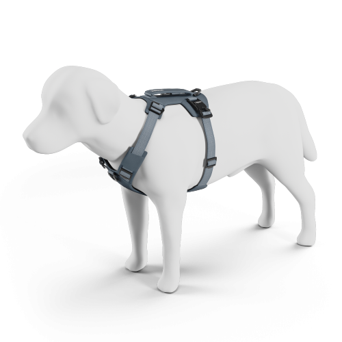 Thule Dart Harness - 1748868.png