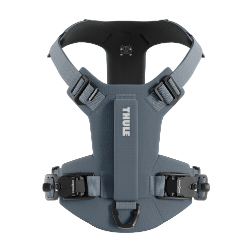 Thule Dart Harness - 1748865.png