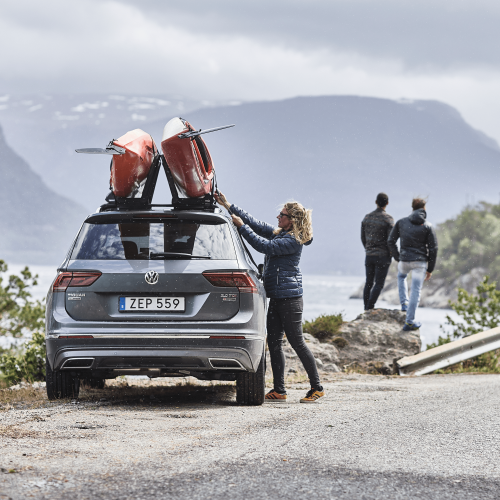 Thule Hull-A-Port Aero - 1386471.png